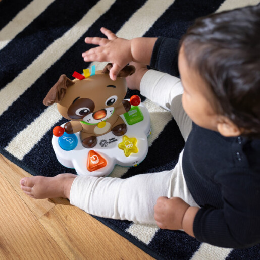 Baby Einstein - Toba muzicala, "Drum & Learn Dean"