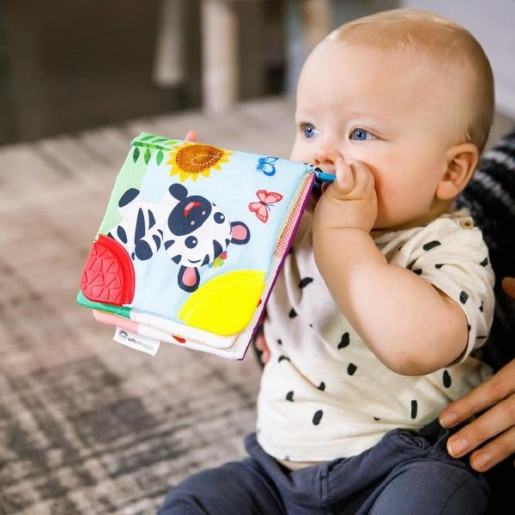 Baby Einstein - Jucarie pentru dentitie in forma de carte