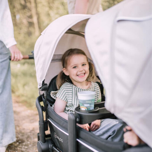 BabyGo - Carucior de transport tip vagon Cozy Rider 