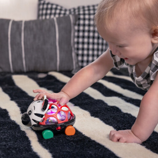 Baby Einstein - Masinuta zornaitoare "Curious Car Zen Oball"