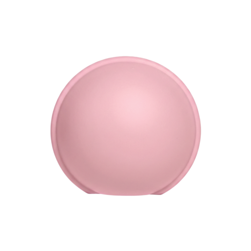 BIBS - Cutie pentru suzeta Pacifier Case Mini, Baby Pink