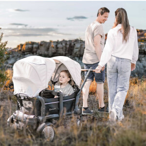 BabyGo - Carucior de transport tip vagon Cozy Rider 