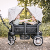 BabyGo - Carucior de transport tip vagon Cozy Rider 