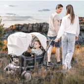 BabyGo - Carucior de transport tip vagon Cozy Rider 