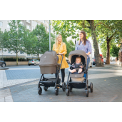 Joie-Carucior Chrome Mushroom
